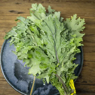 Kale, Red Curly