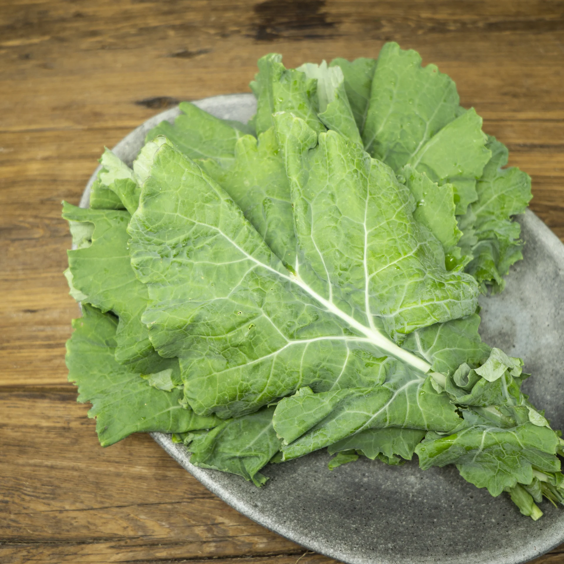 Kale, White Russian