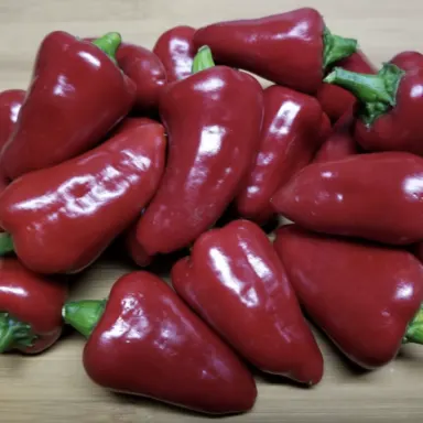 Kardoula Pepper