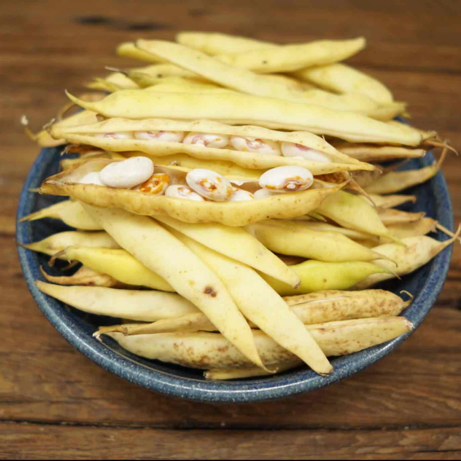 Kenearly Beans (Yellow Eye)