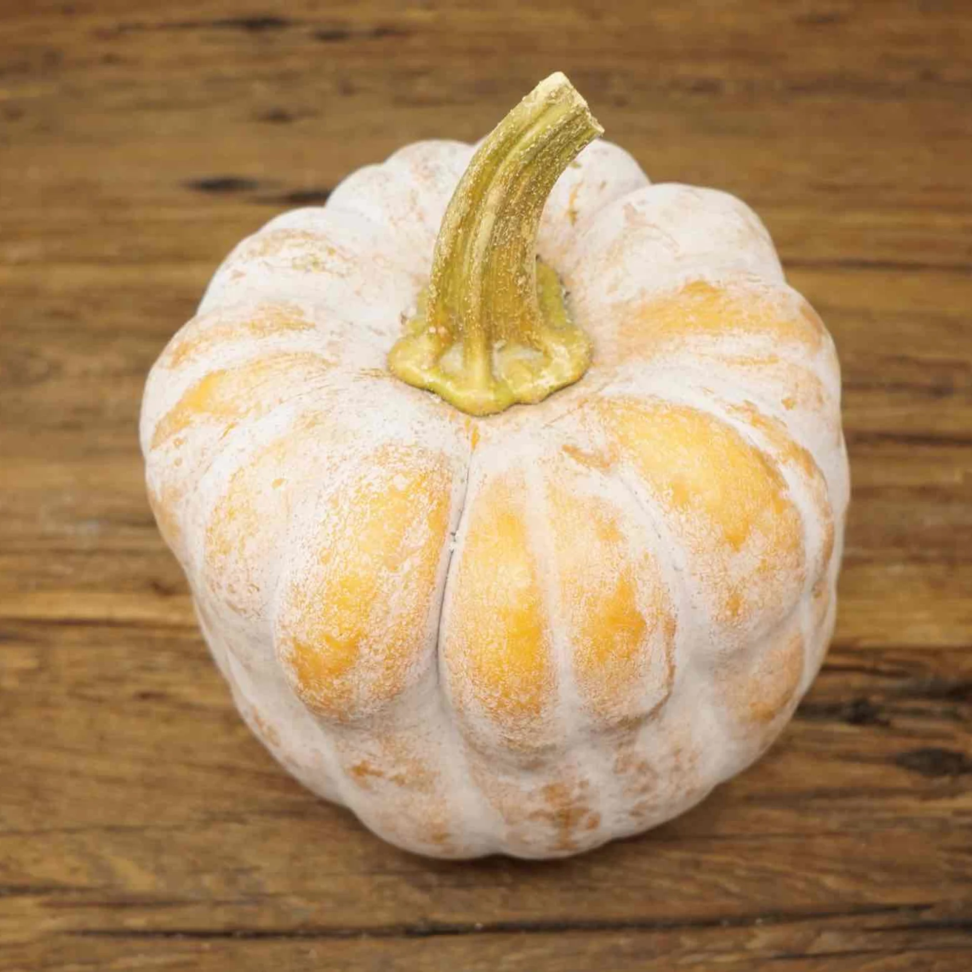 Koginut Squash