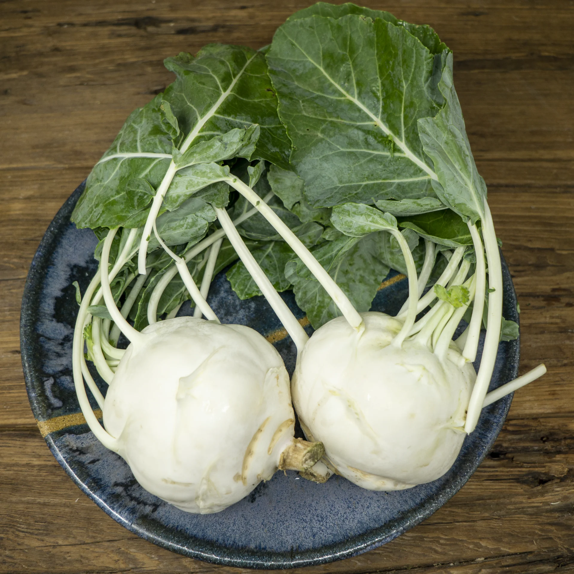 Kohlrabi, Albino (White)