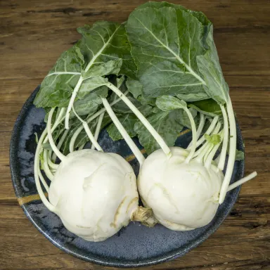 Kohlrabi, Albino (White)