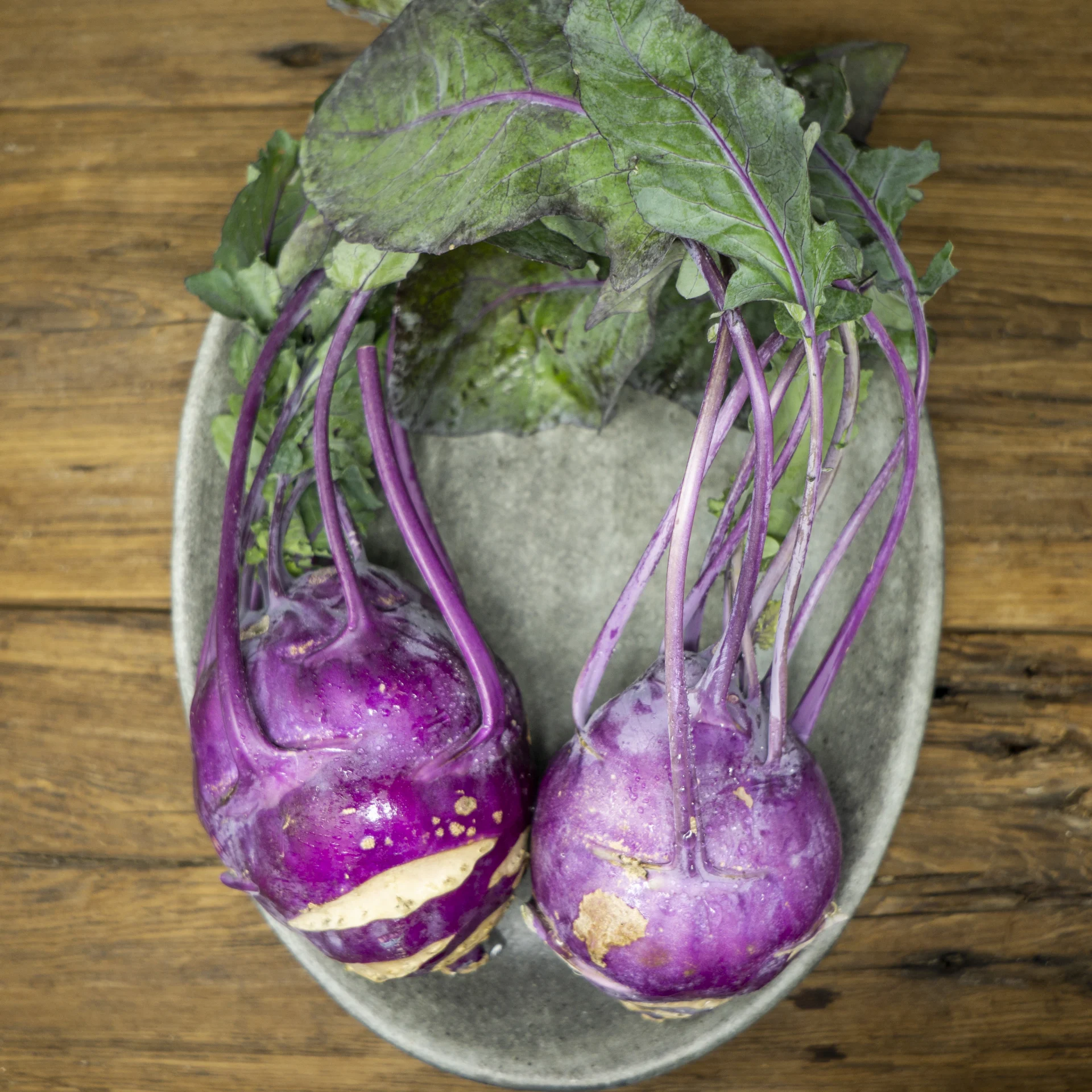 Kohlrabi, Purple