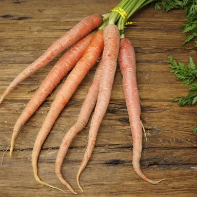 Kyoto Carrots