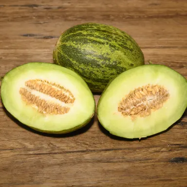 Lambkin (Piel de Sapo)