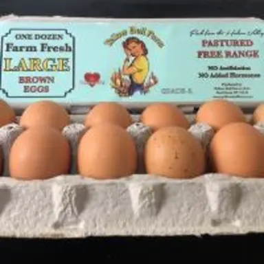 Large Brown Pastured Eggs