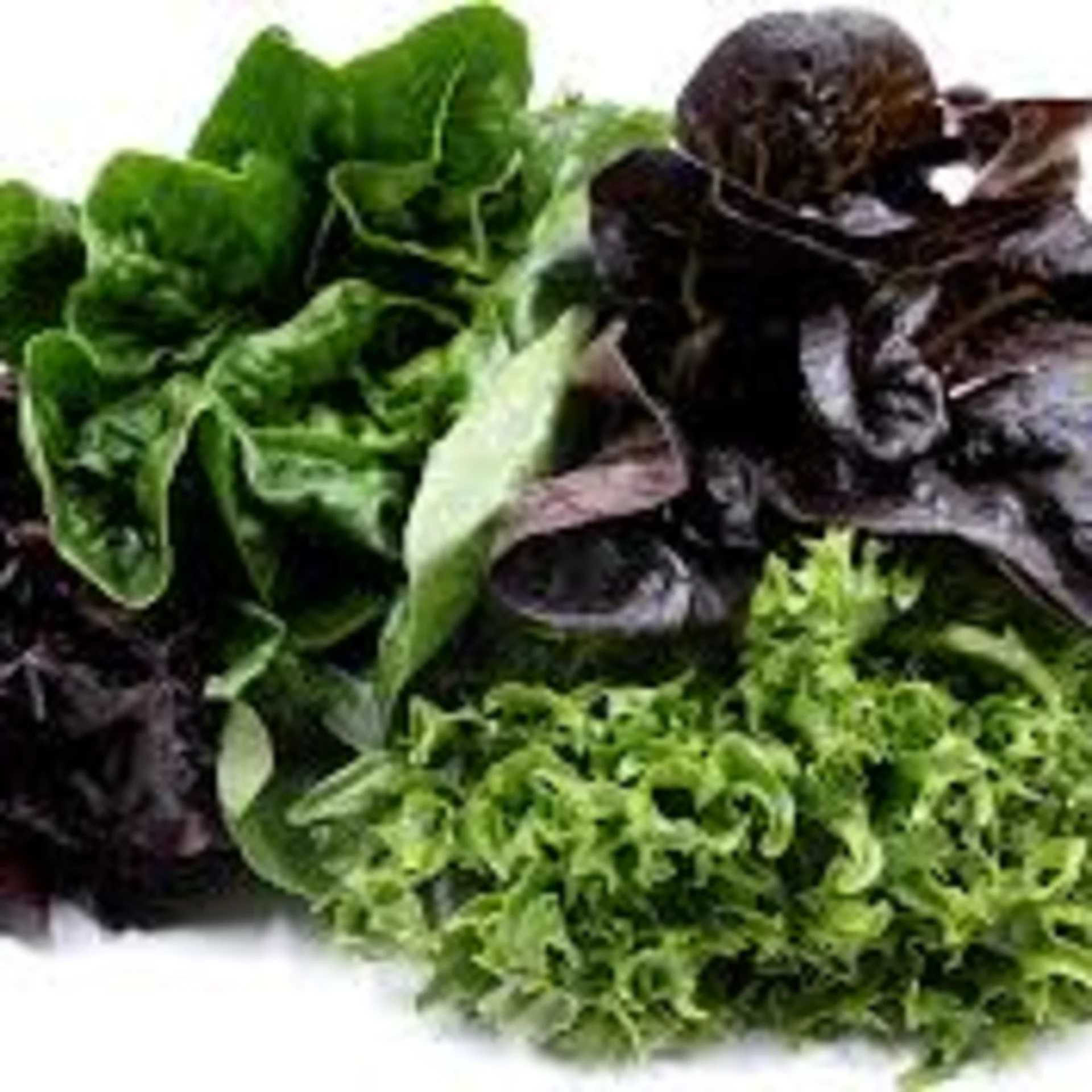 Lettuce, Assorted Varieties, Medium