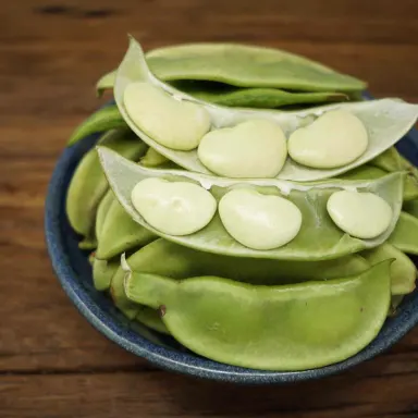 Lima shelling beans (Green)