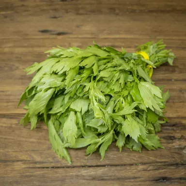 Lovage