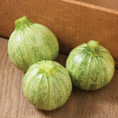 Lucky Eight (Striped Round)
