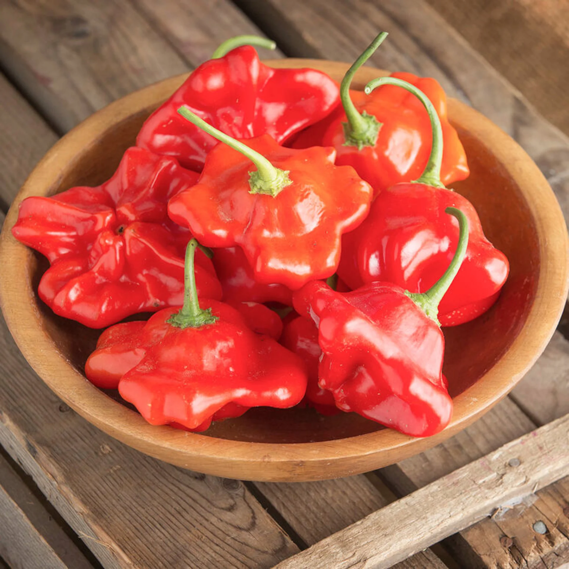 Mad Hatter Pepper