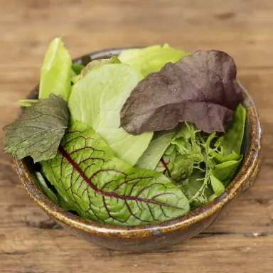 Mesclun Mix