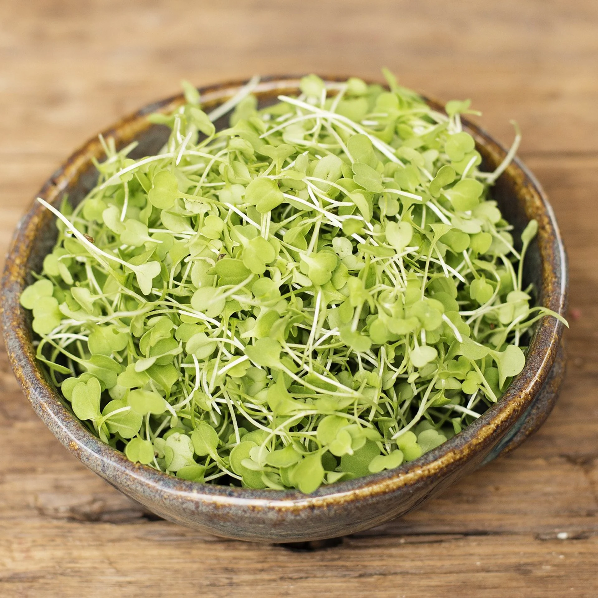 Micro Arugula