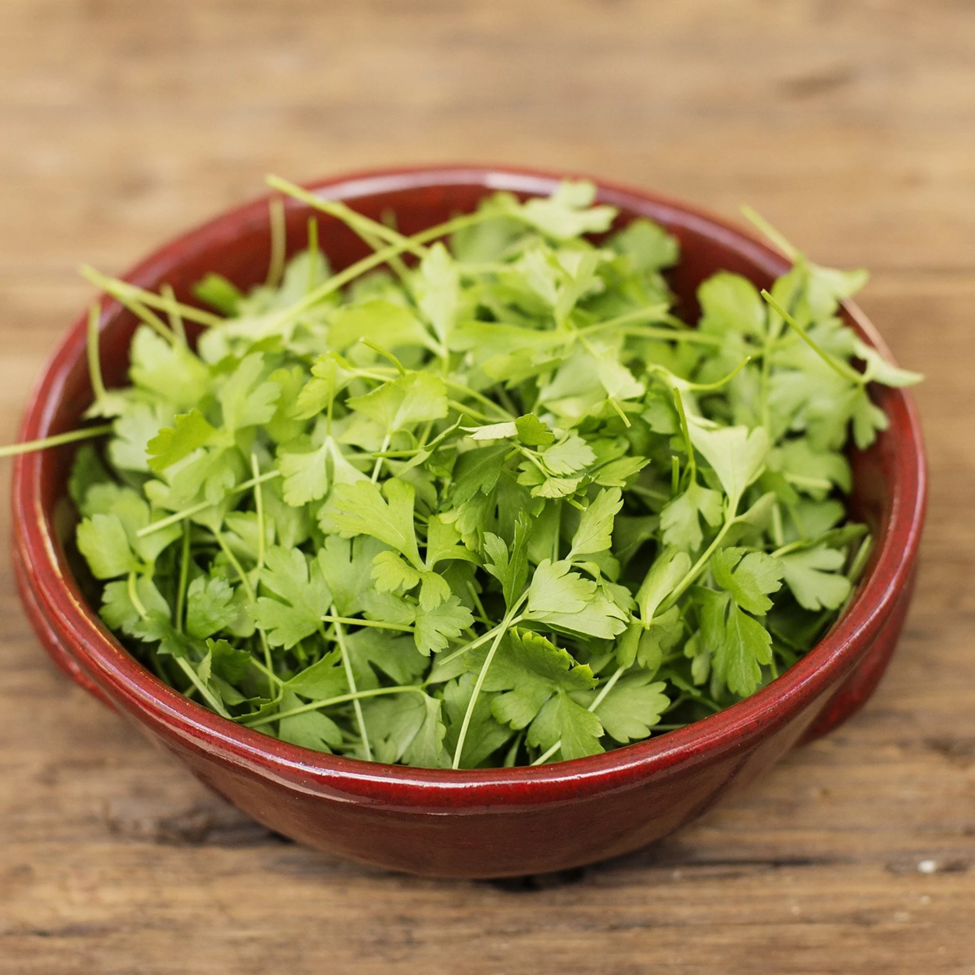 Micro Parsley
