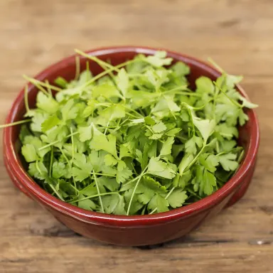 Micro Parsley