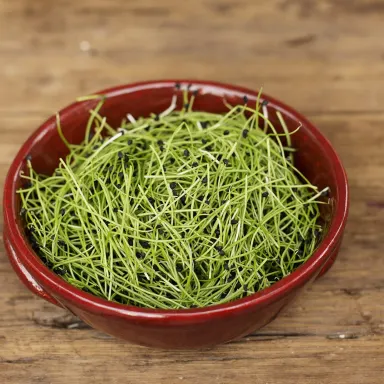 Micro Scallion