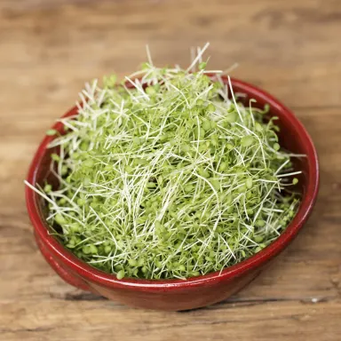 Micro Watercress