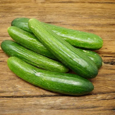 Middle Eastern Cucumber