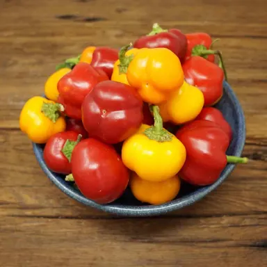 Mini bell peppers