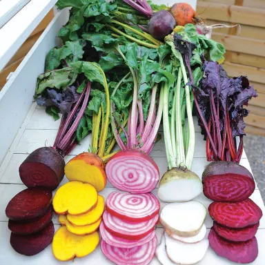 Mixed Beets