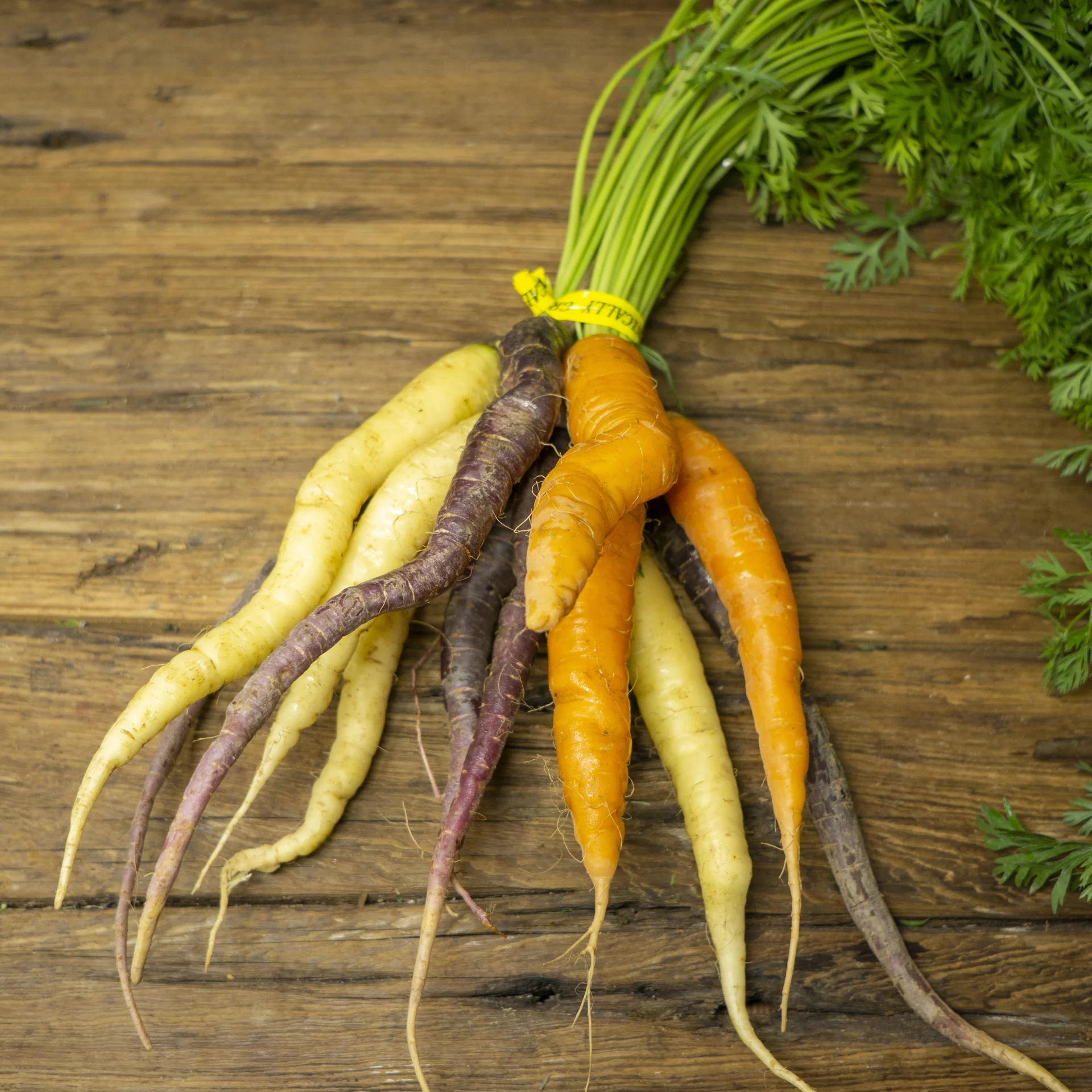 Mixed carrots