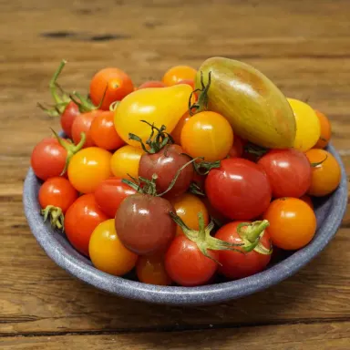 Mixed Cherry Tomato