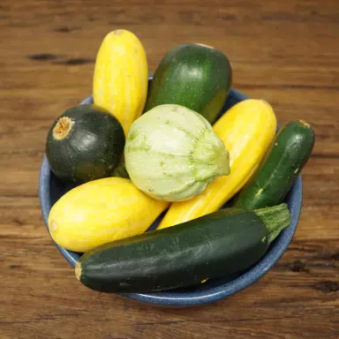 Mixed Summer Squash 