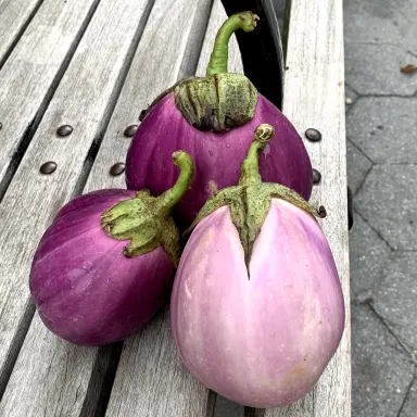 Mixed Sicilian Eggplant
