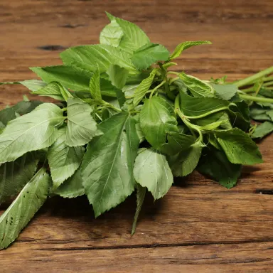 Molokhia