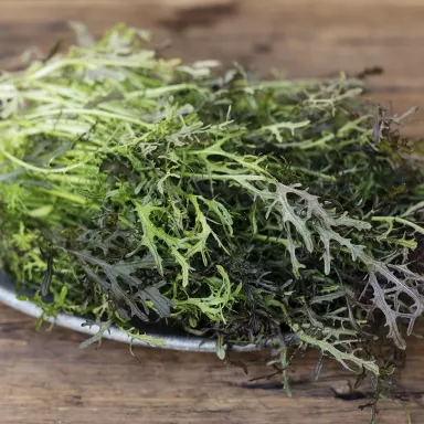 Mustard Greens