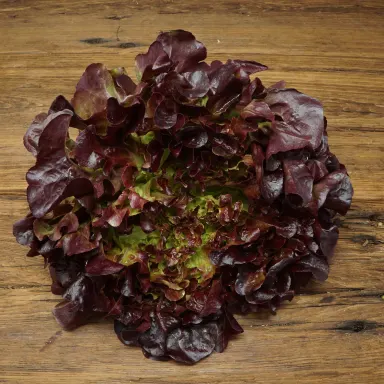 Oak Leaf Lettuce, Red