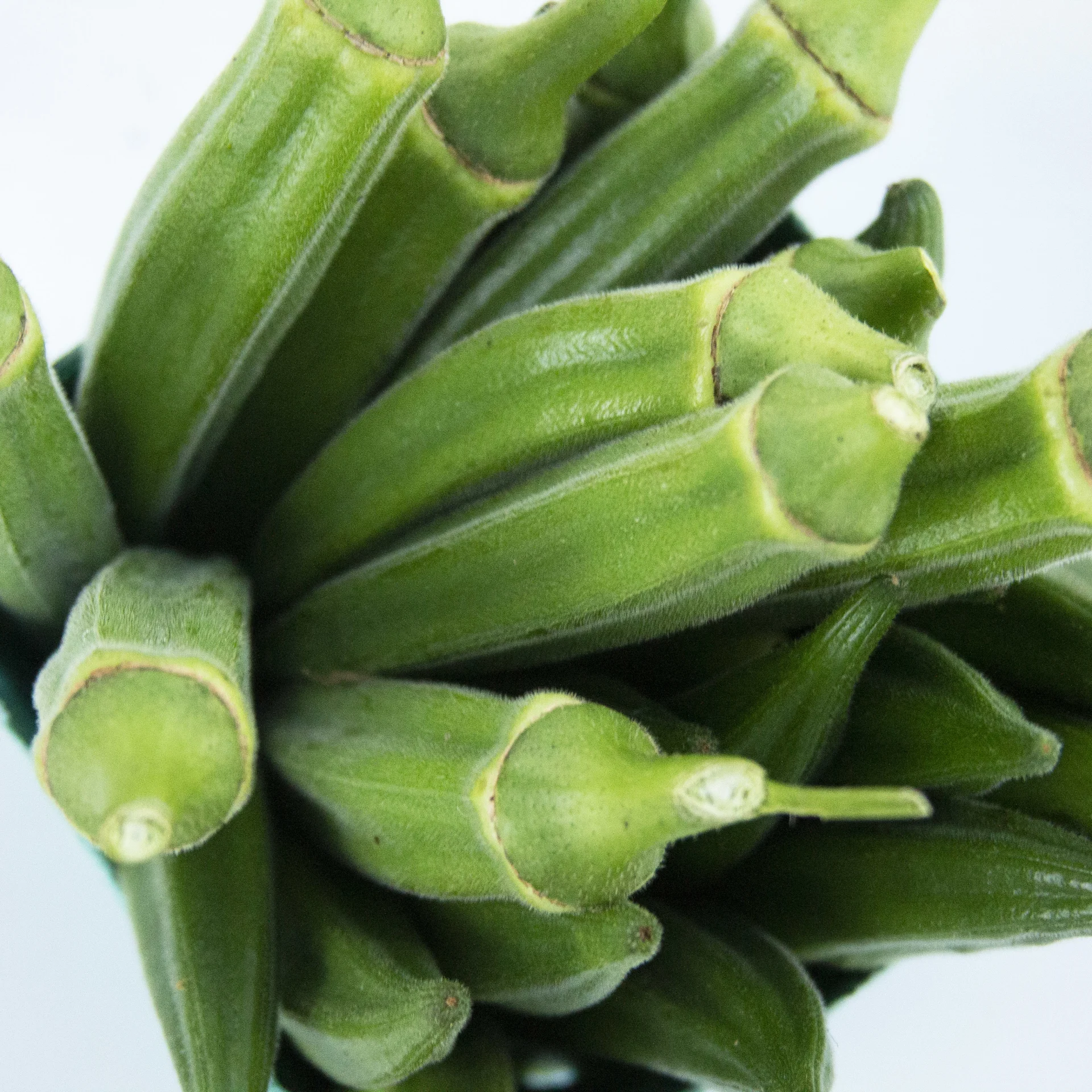 Okra, Green