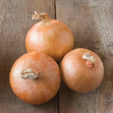 Onions, White Sweet