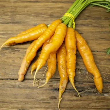 Orange Carrots