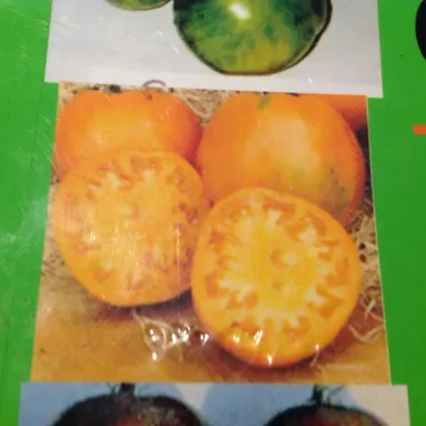 Orange Oxheart