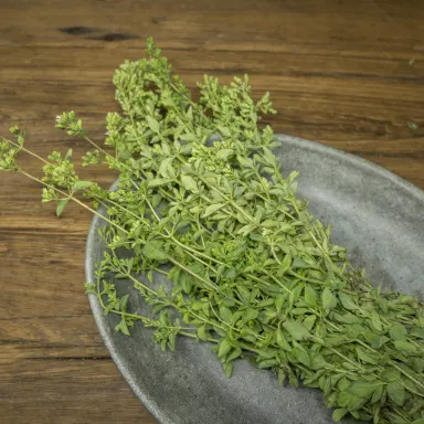 Oregano