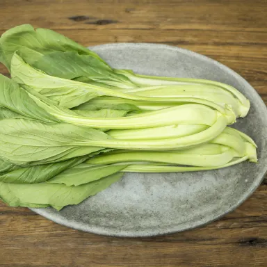 Pac Choi, Green