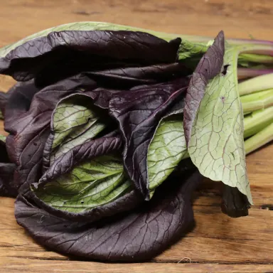 Pac Choi, Red