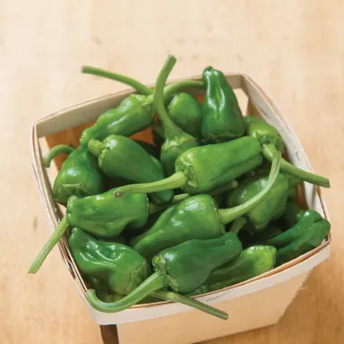 Padron peppers