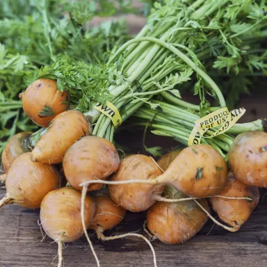 Parisian Carrot