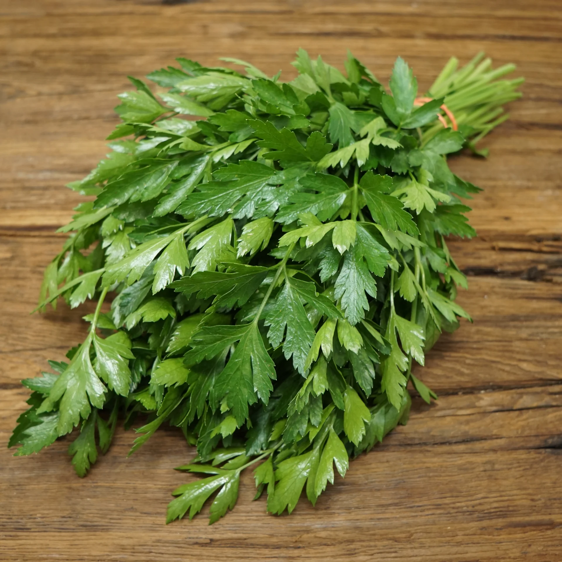 Parsley 