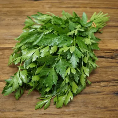 Parsley 