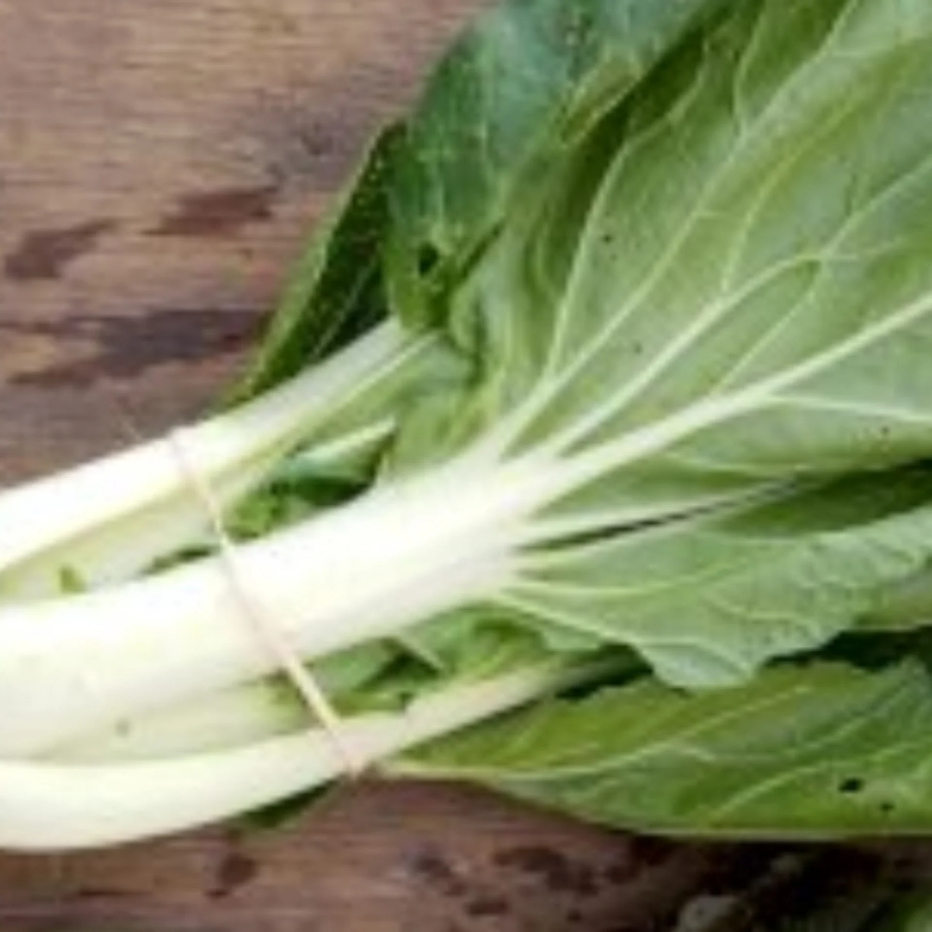 Parsley- Forest Green