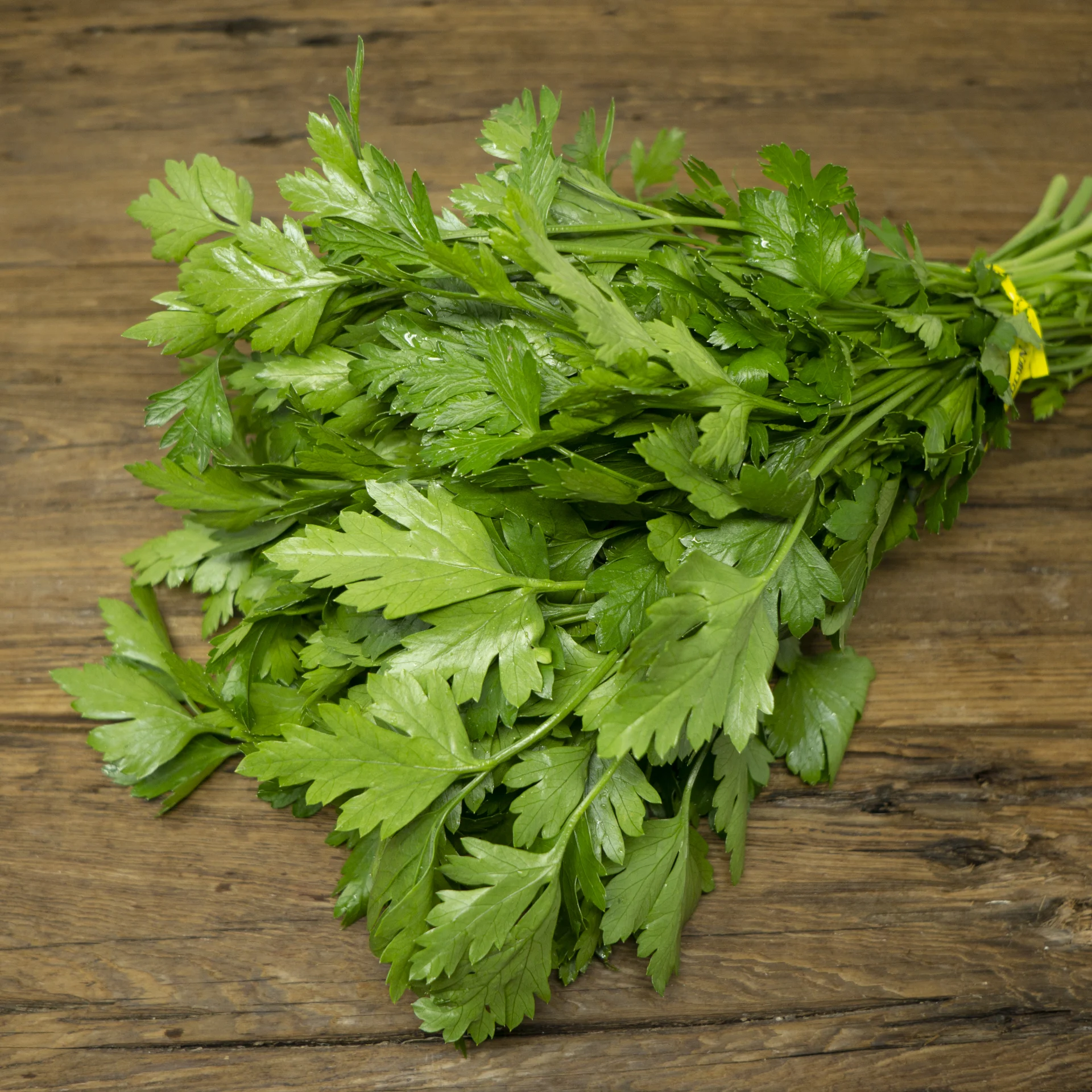 Parsley