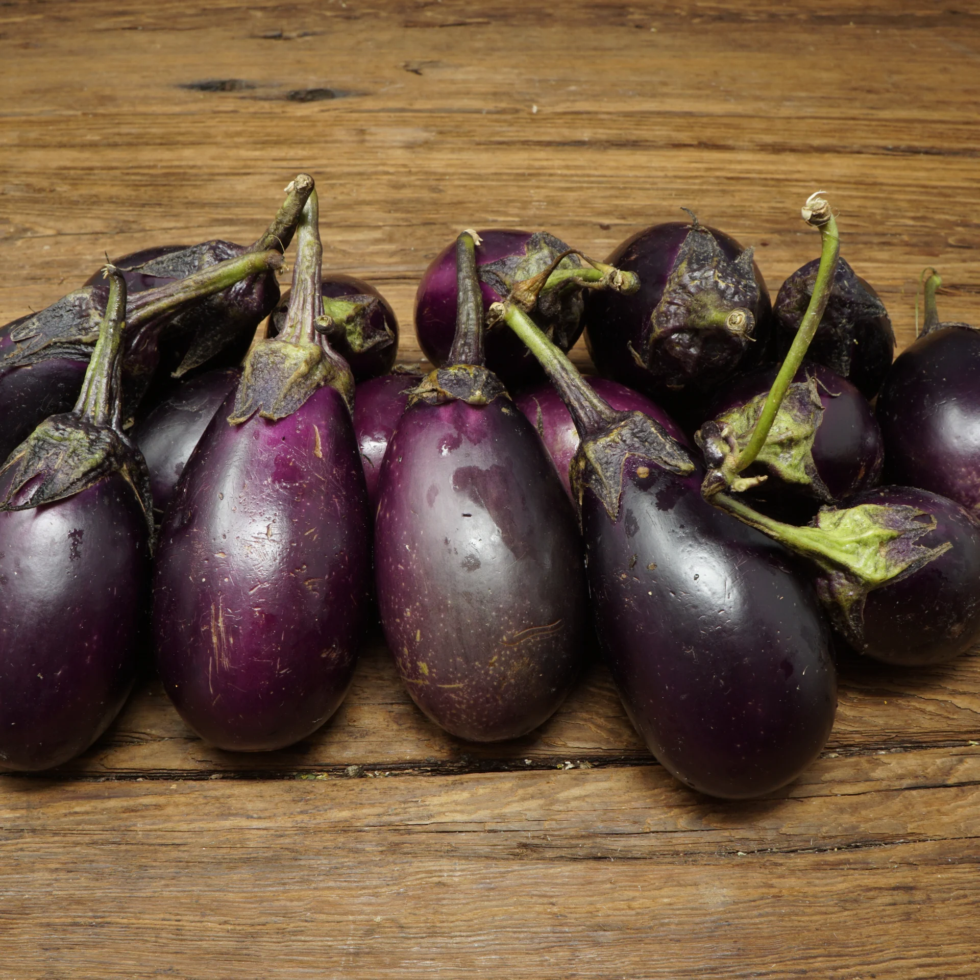 Patio Eggplant
