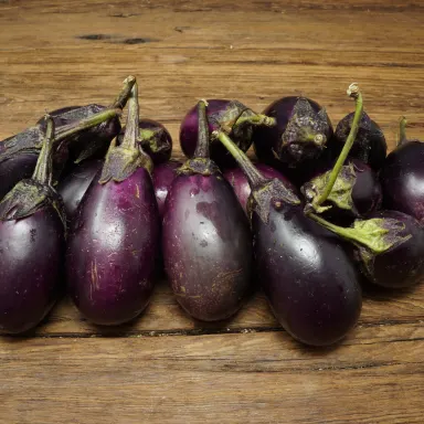 Patio Eggplant