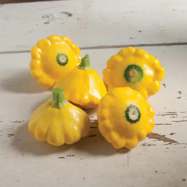 Patty Pan, Yellow