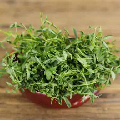 Pea shoots