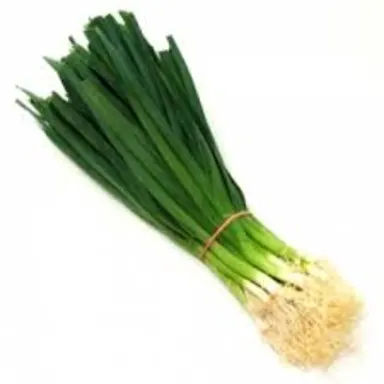 Leeks, Pencil